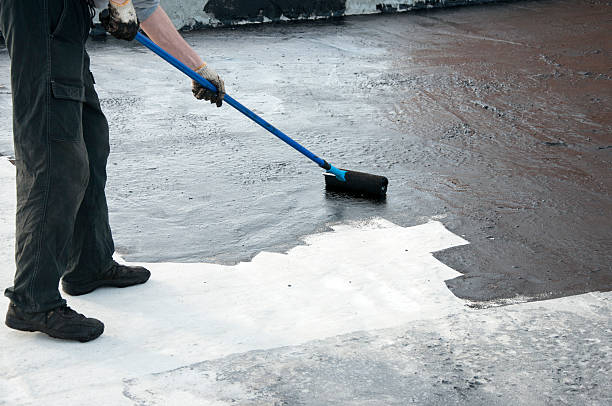 Best Concrete Leveling Services  in Las Quintas Fronterizas, TX